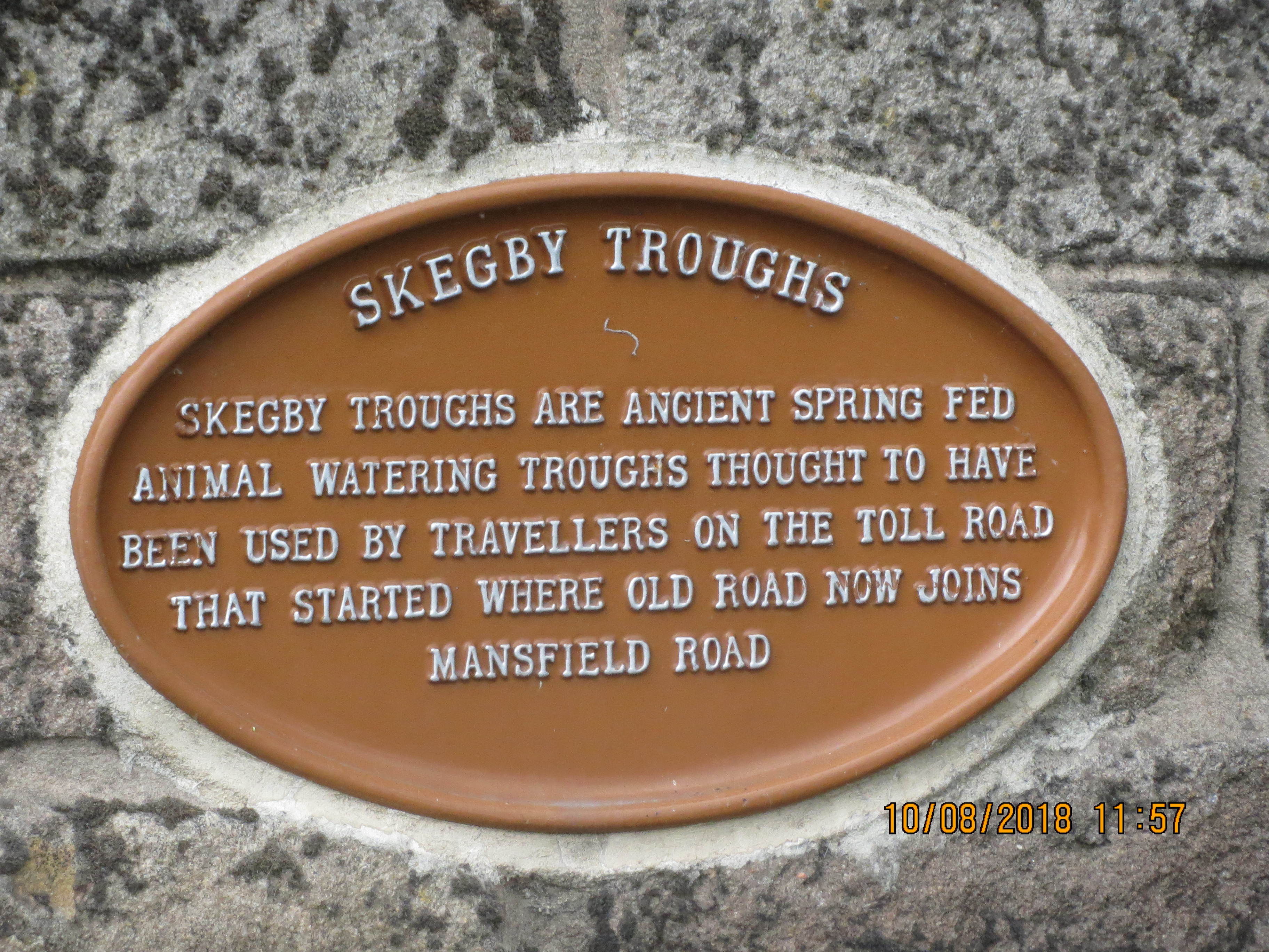 trough plaque