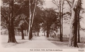 old avenue - lawn park
